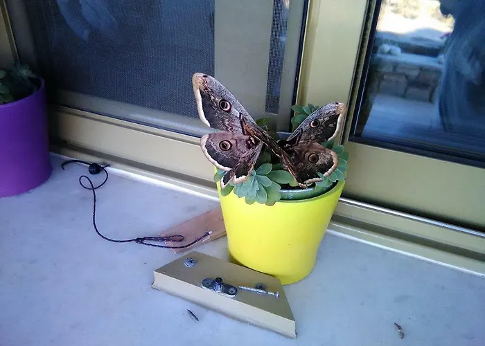 Villa Paros Sunset Psv & Psv2